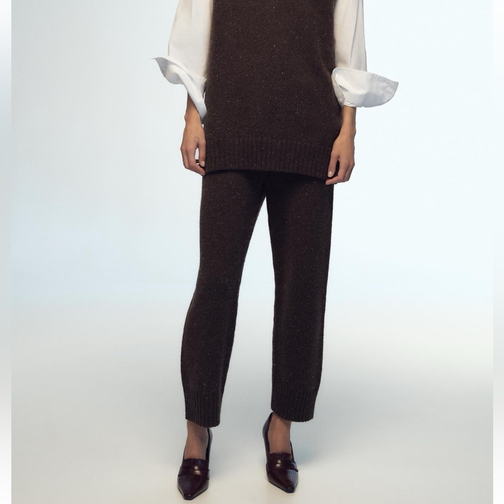 Zara Wool Blend Knit Pants